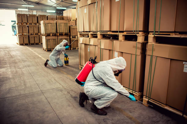 Best Emergency Pest Control  in Park City, UT