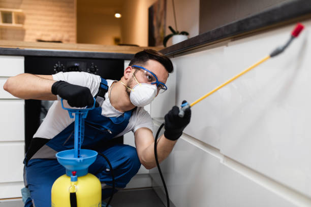 Pest Control Cost in Park City, UT