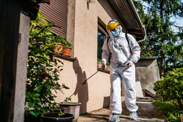 Best Residential Pest Control  in Park City, UT