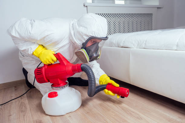 Professional Pest Control in Park City, UT