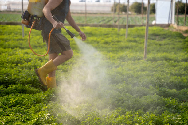 Best Local Pest Control Services  in Park City, UT