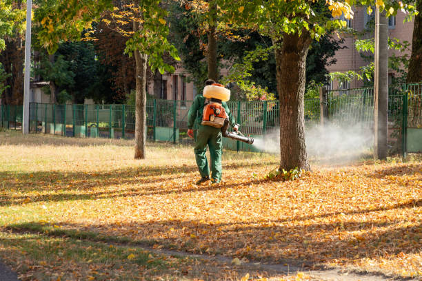 Best Cockroach Control Services  in Park City, UT
