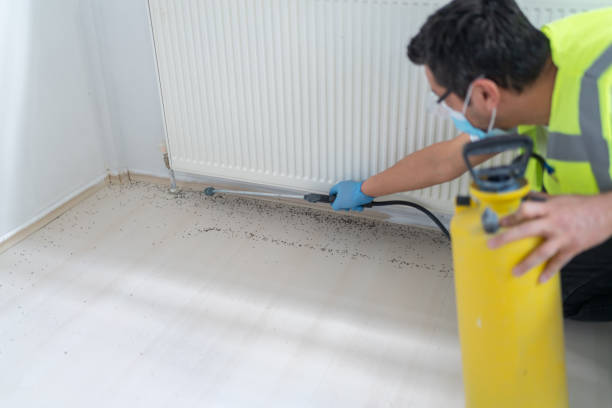 Best Wasp Removal Services  in Park City, UT